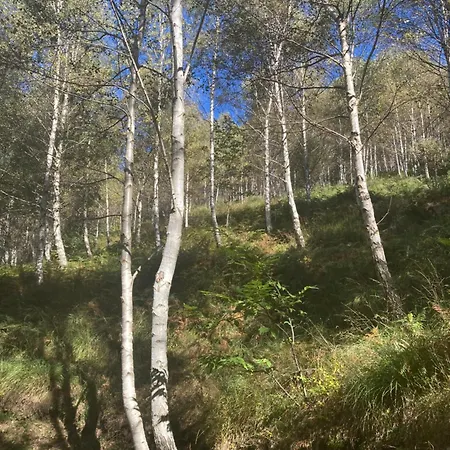 Loka-baita Panoramica Tra Di E Grigna شاليه *
